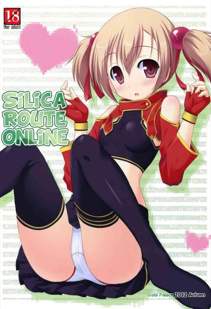 silica route online cover