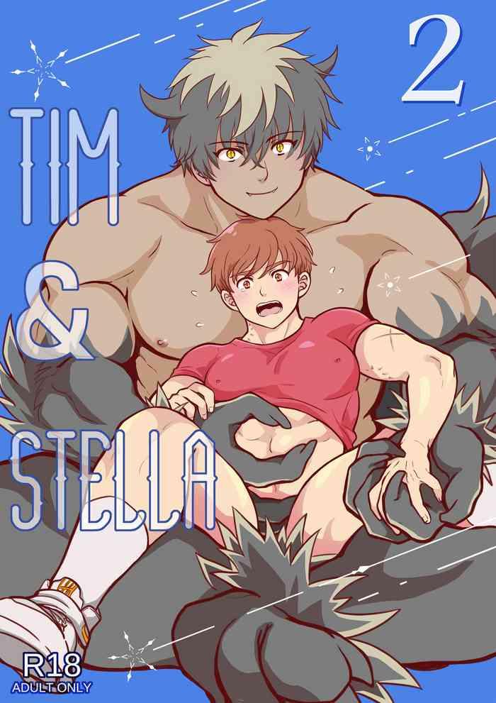 tim stella 2 cover