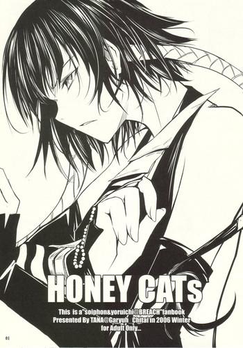 honey cats cover