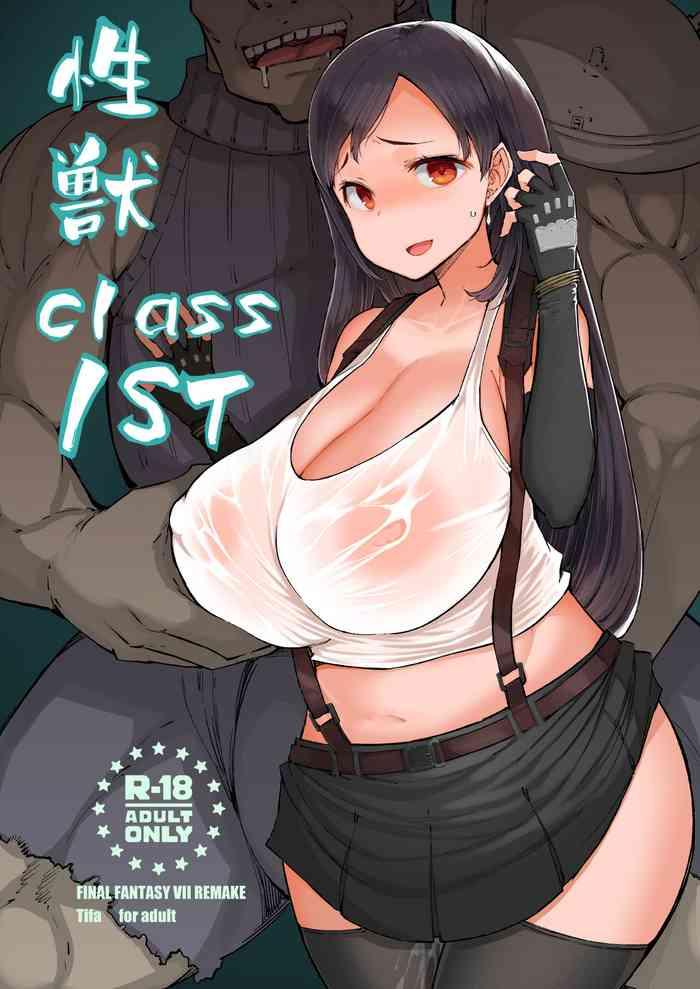 seijuu class 1st cover