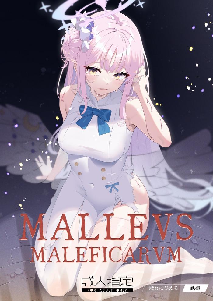 malleus maleficarum cover