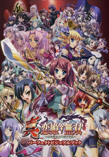 shin koihime musou otome ryouran sangokushi engi perfect visual book cover