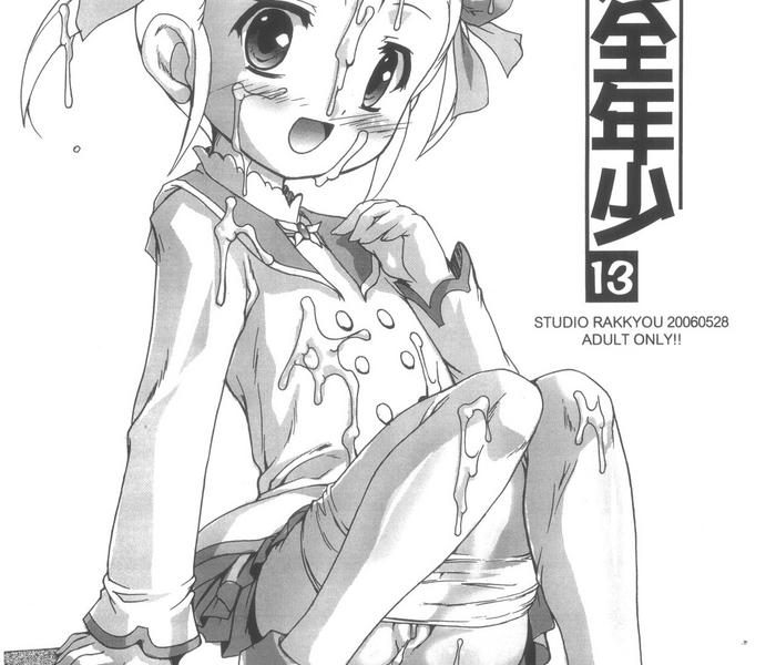 fukanzen nenshou 13 cover